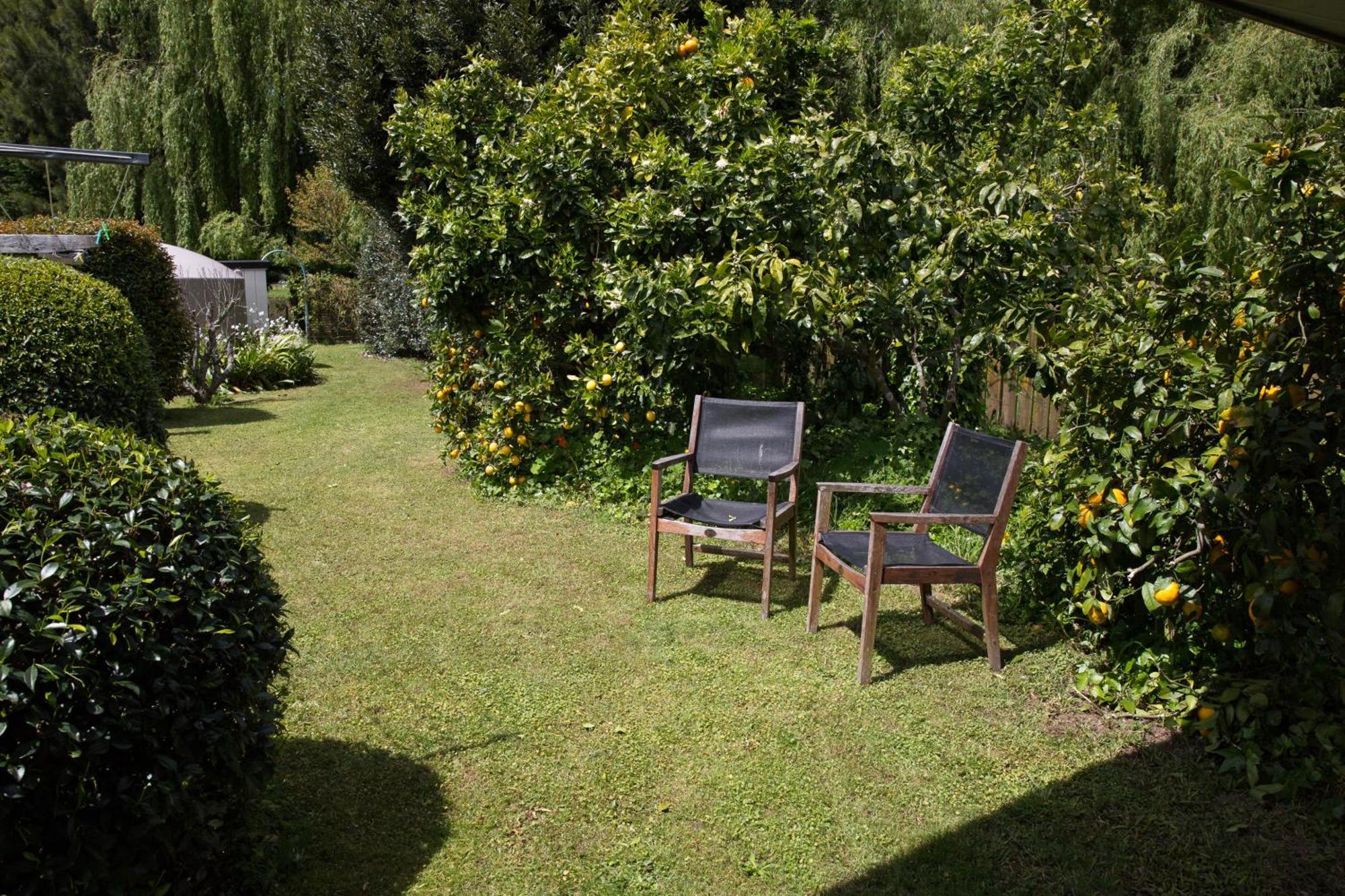 Farm Stay Right On Te Awa River Bike Trail Tamahere Exterior foto